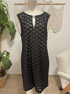 connected apparel Black Overlay Dress with Cream Lining